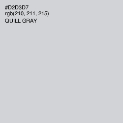 #D2D3D7 - Quill Gray Color Image